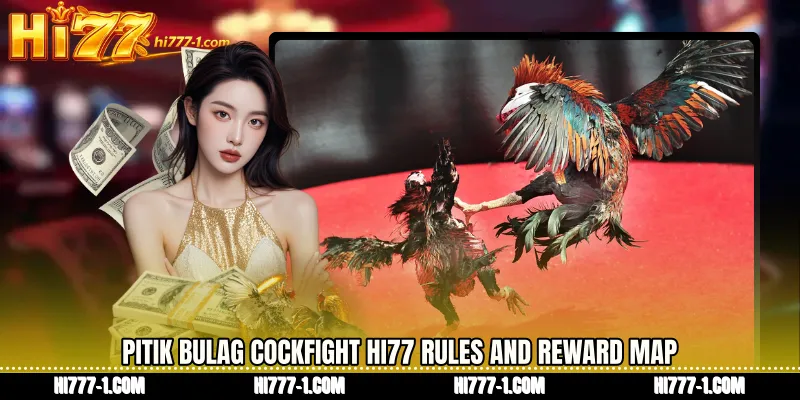 Pitik Bulag cockfight HI77 Rules and Reward Map