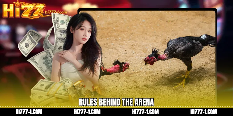 Rules Behind the Arena